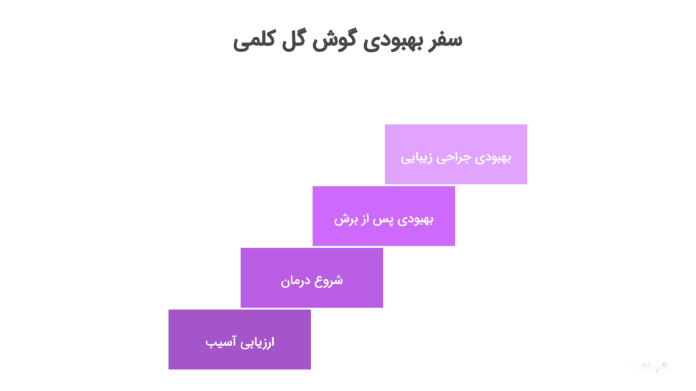  بهبود گوش کلمی 